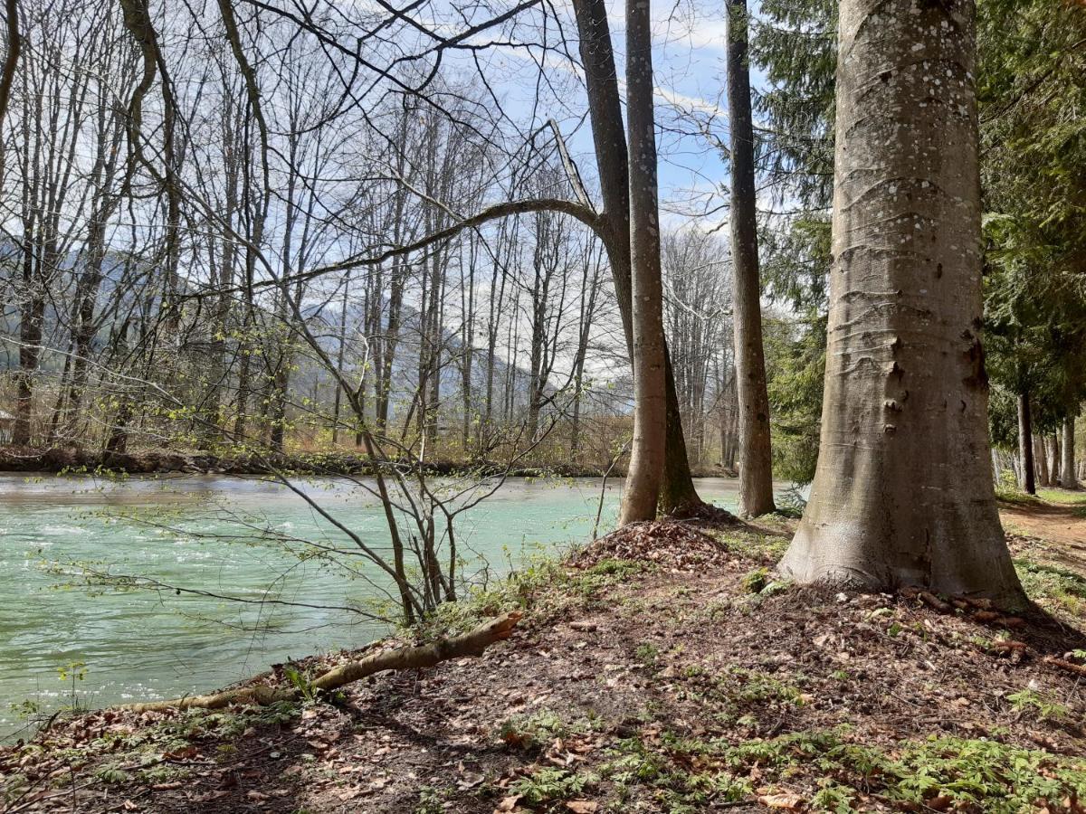 Campingfass Almtal Scharnstein 외부 사진