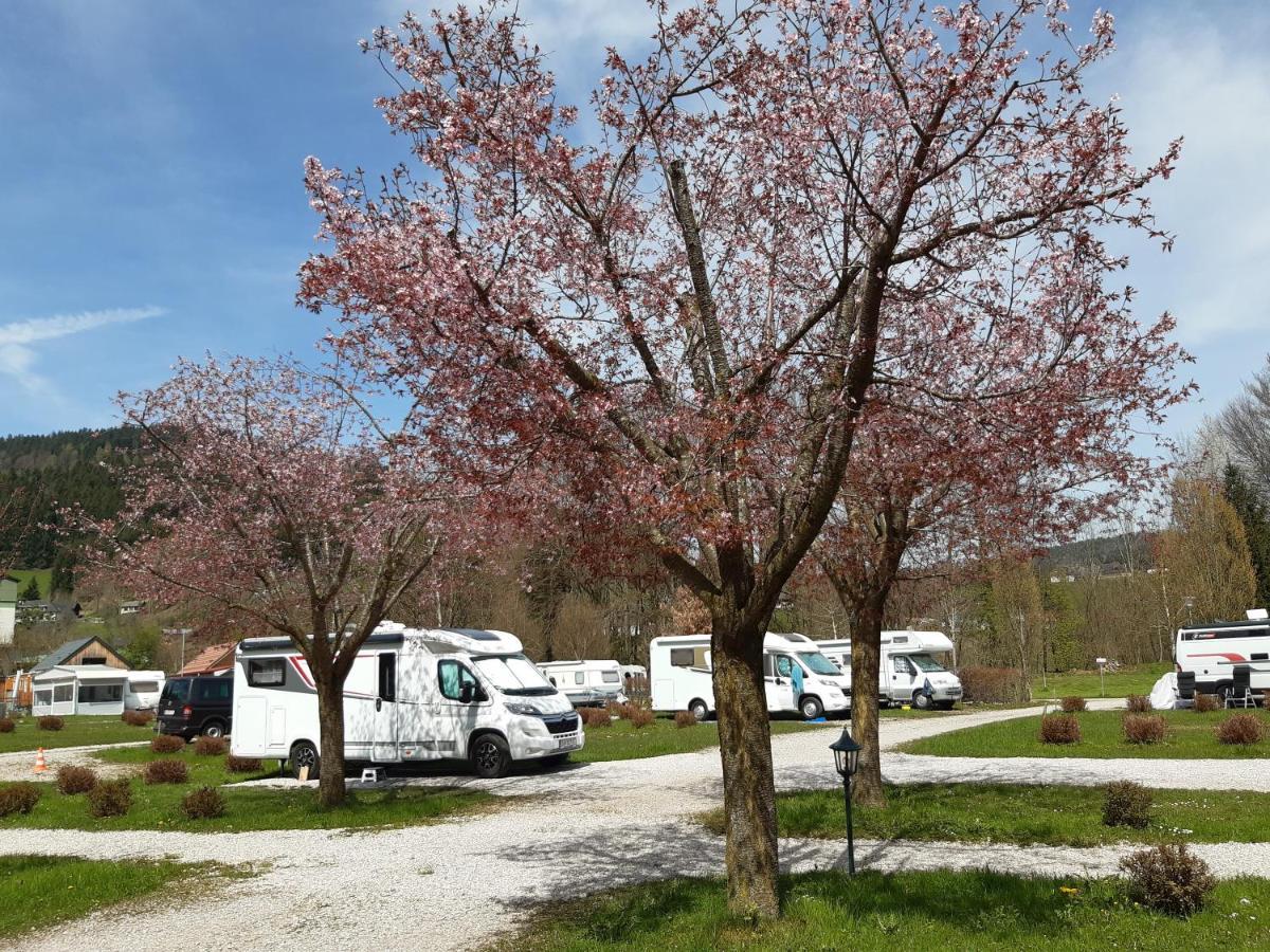 Campingfass Almtal Scharnstein 외부 사진