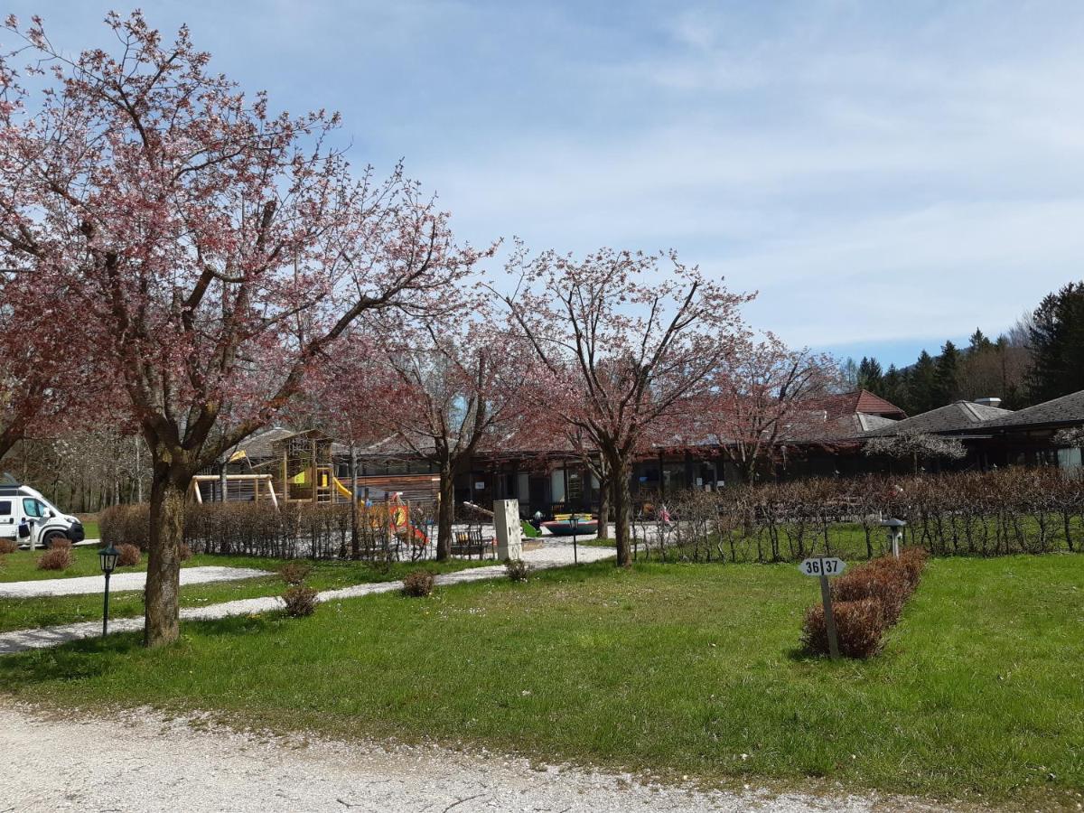 Campingfass Almtal Scharnstein 외부 사진